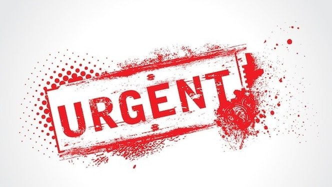 alt="Comment obtenir une traduction assermentée en urgence : service rapide pour documents officiels et démarches administratives"