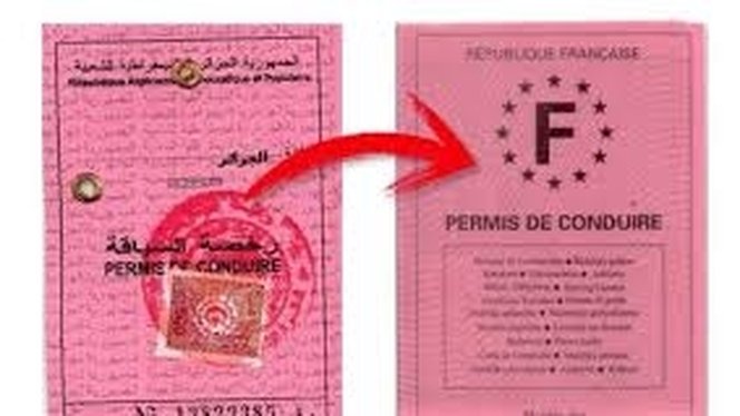 alt="Comment obtenir la traduction officielle de mon permis de conduire algérien : traduction assermentée pour échange de permis et démarches en France"