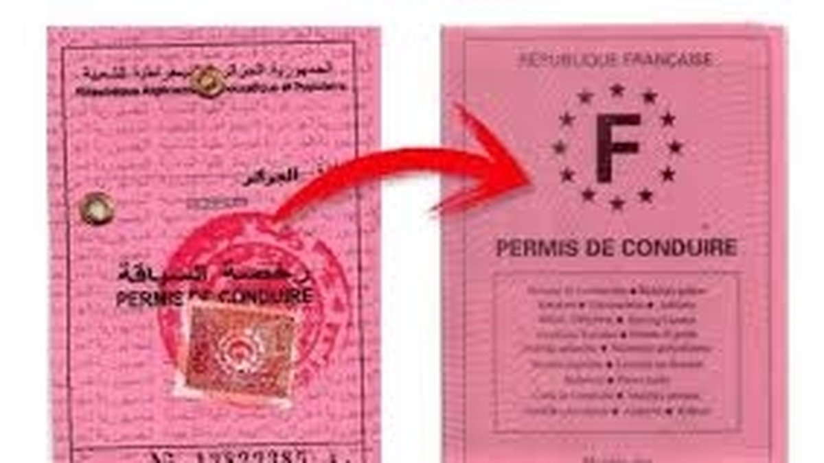 alt="Comment obtenir la traduction officielle de mon permis de conduire algérien : traduction assermentée pour échange de permis et démarches en France"